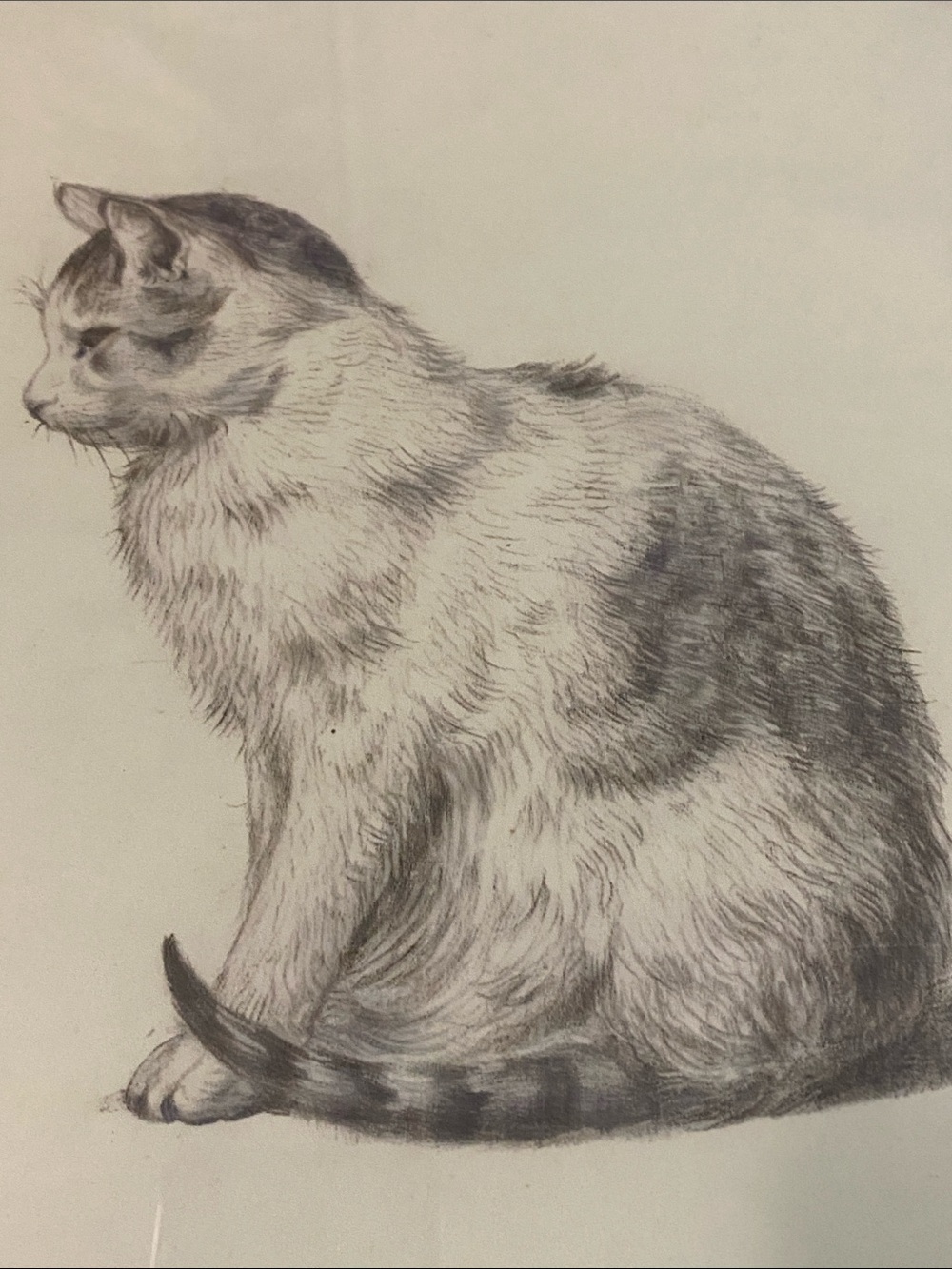 Cat Wall Art Decor